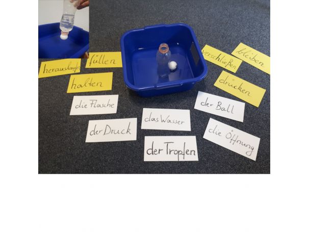Miniphänomenta - Experimemt und Sprachbildung Miniphänomenta - Experimemt und Sprachbildung